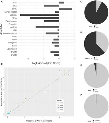 DSB profiles in human spermatozoa highlight the role of TMEJ in the male germline